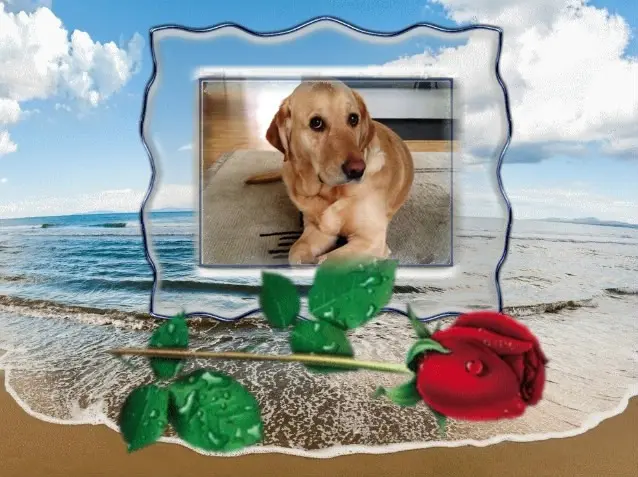 Andachtsbild von ❤️❤️❤️