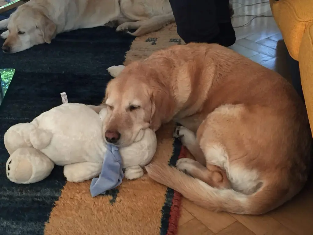 Andachtsbild von Brigitta