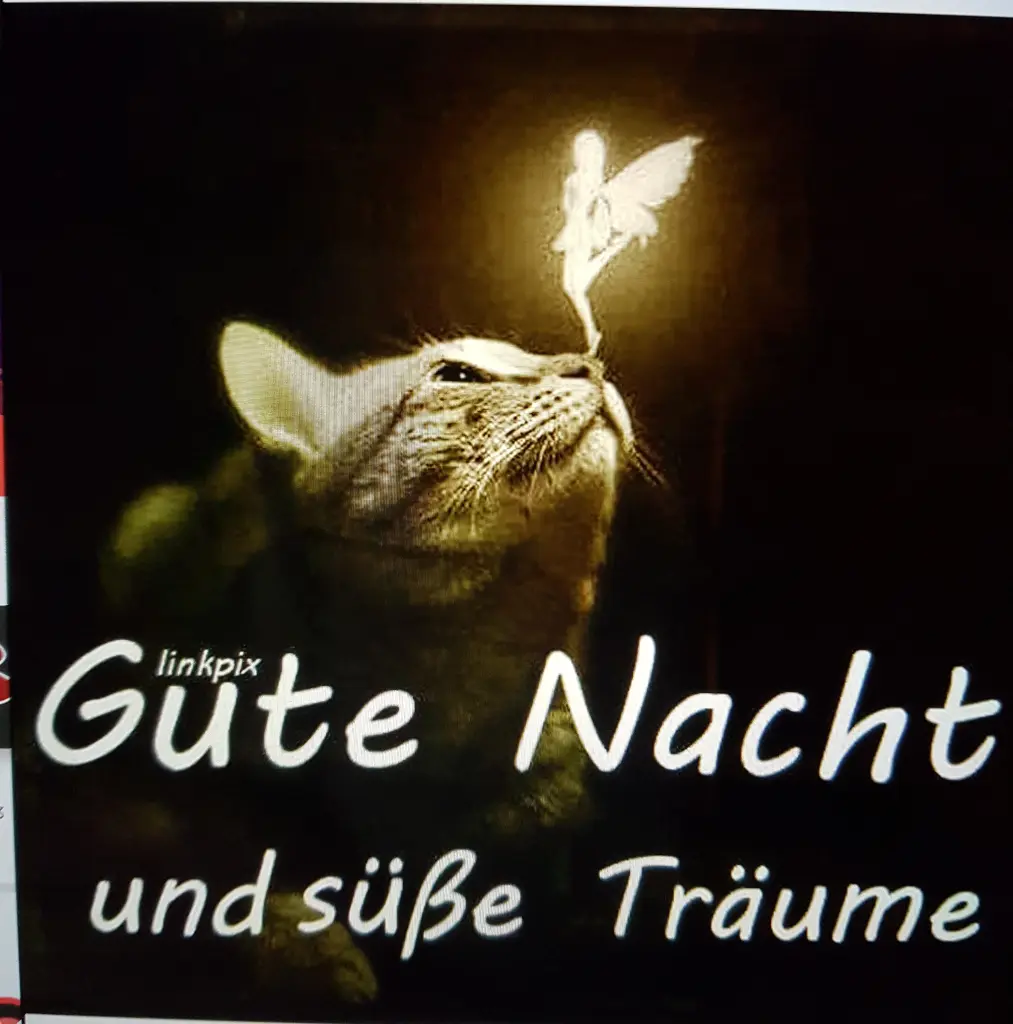 Andachtsbild von Brigitta mit Sam † 13.6.19