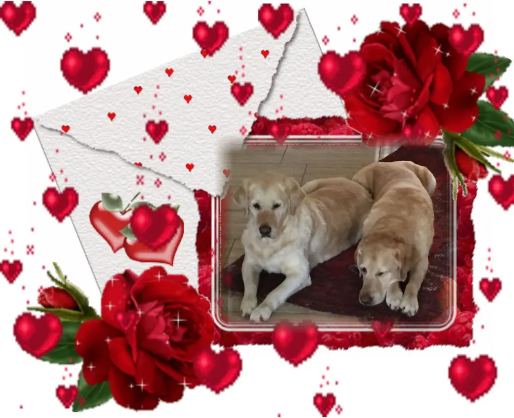 Andachtsbild von ❤️❤️❤️