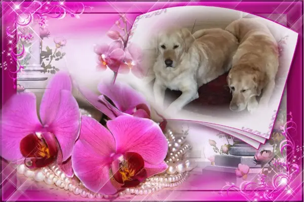 Andachtsbild von ❤️❤️❤️