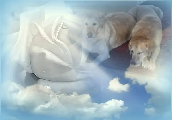 Andachtsbild von ❤️❤️❤️