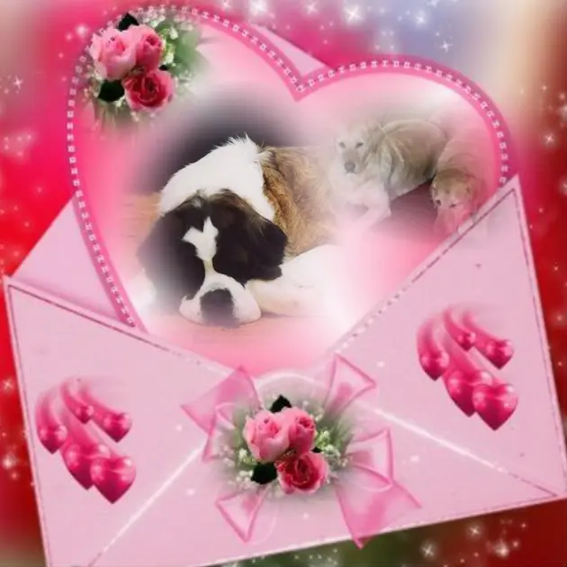 Andachtsbild von ❤️❤️❤️