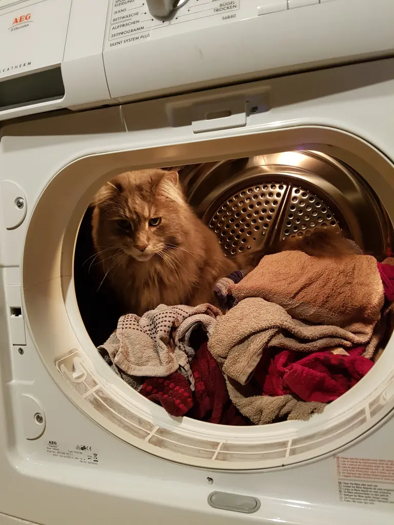 Andachtsbild von Ein lieber Gruß von Brigitta und Sam