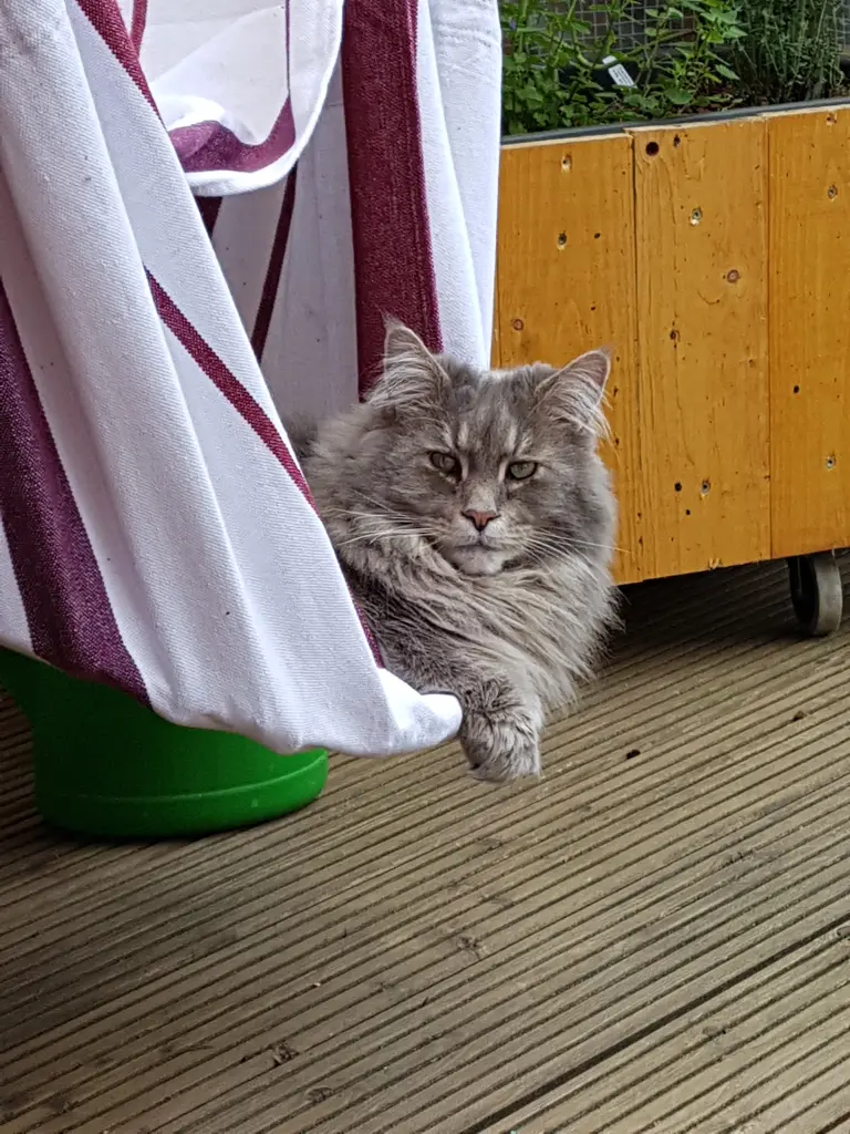 Andachtsbild von ♥Schönes Wochenende♥