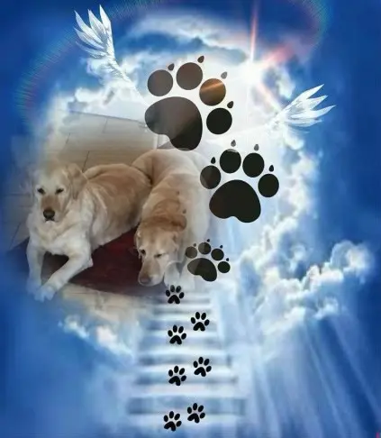 Andachtsbild von ❤️❤️❤️