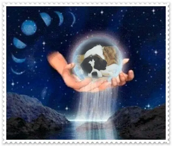 Andachtsbild von ❤️❤️❤️