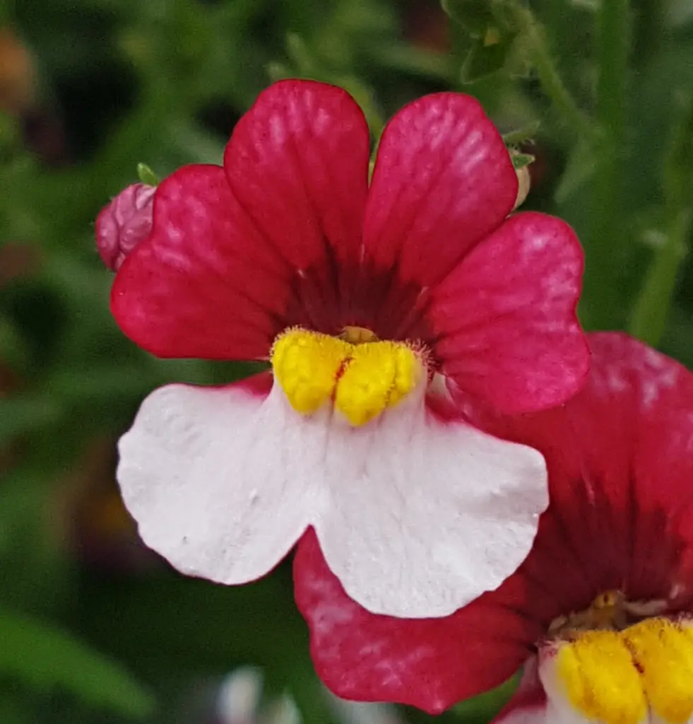 Andachtsbild von Ein lieber Gruß von Brigitta und♥Sam♥