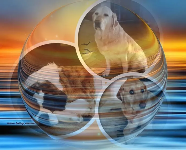 Andachtsbild von ❤️❤️❤️