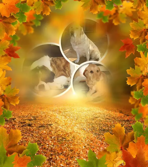 Andachtsbild von ❤️❤️❤️