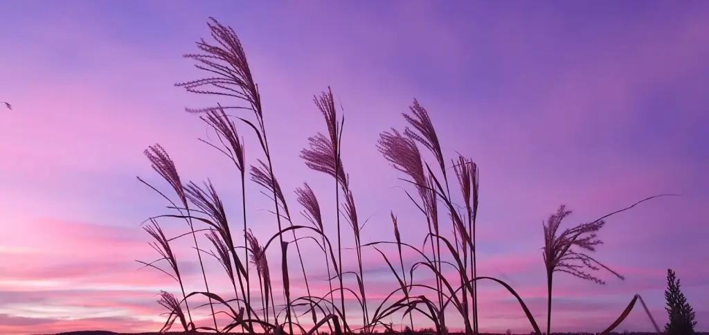 Andachtsbild von Ein lieber Gruß von Brigitta und♥Sam♥