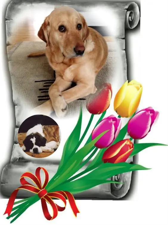 Andachtsbild von ❤️❤️❤️