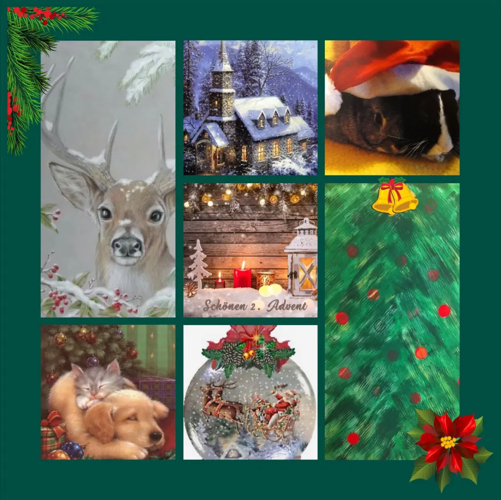 Andachtsbild von Adventsrosen für Emma