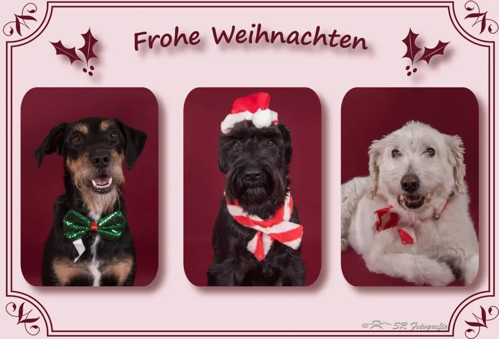 Andachtsbild von Marga mit Rambo im Herzen