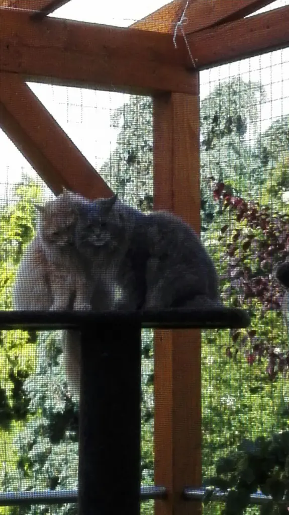 Andachtsbild von Ein lieber Gruß von Brigitta und♥Sam♥