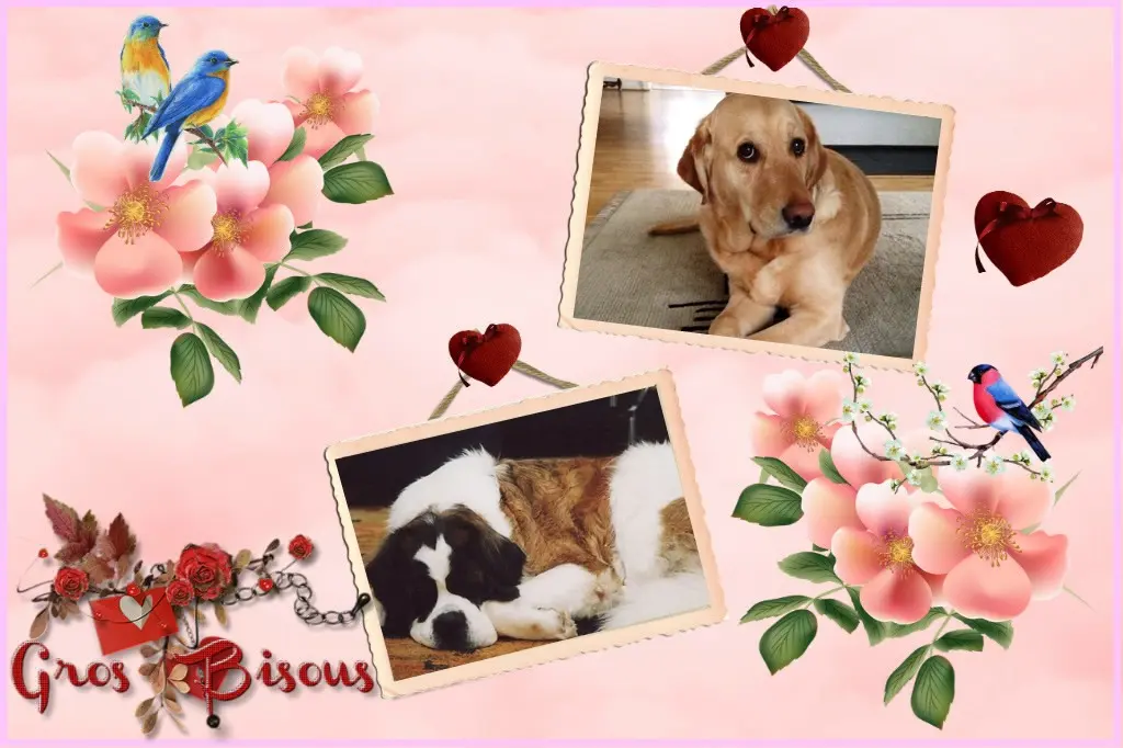 Andachtsbild von ❤️❤️❤️