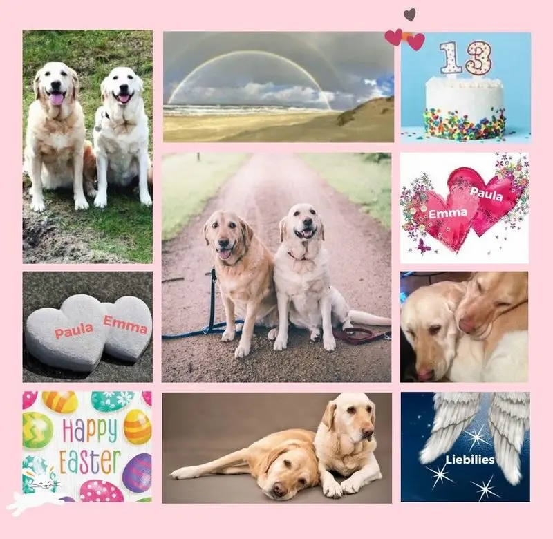 Andachtsbild von Geburtstagsrosen für Emma