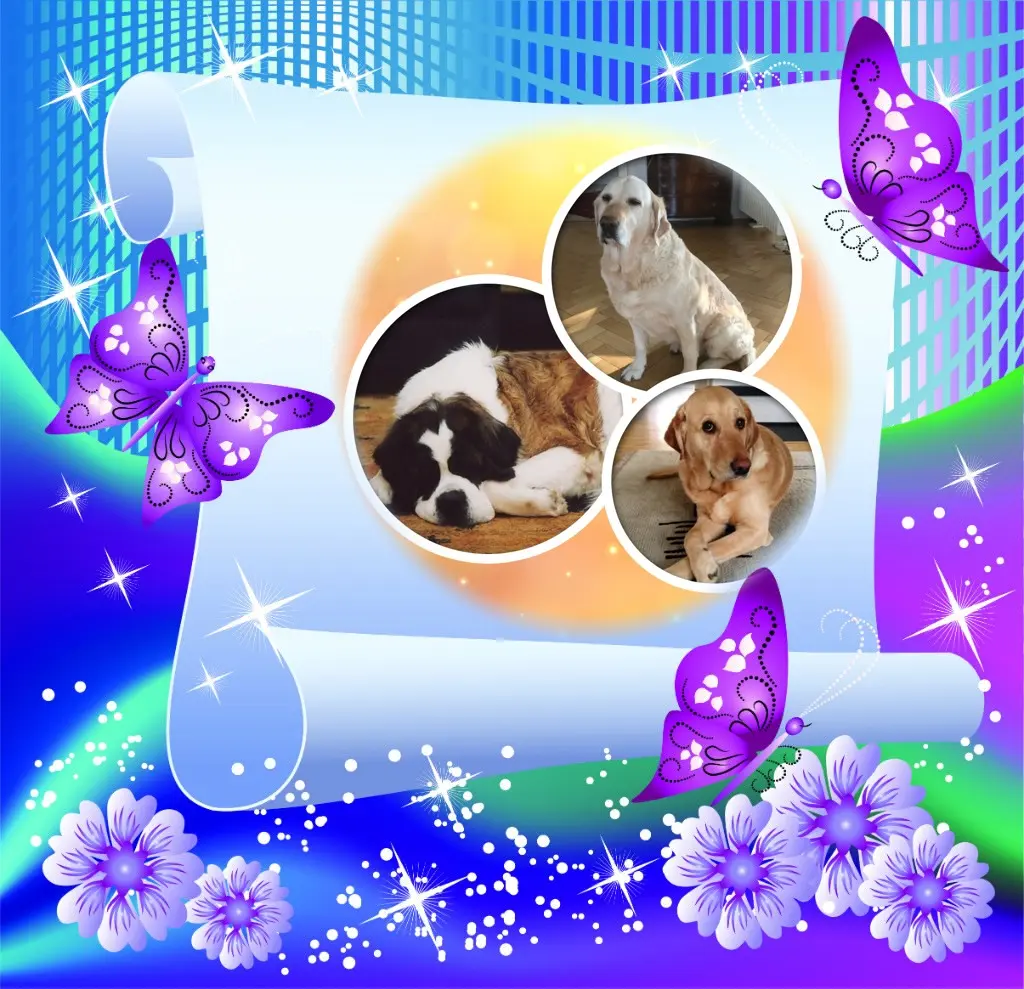 Andachtsbild von ❤️❤️❤️