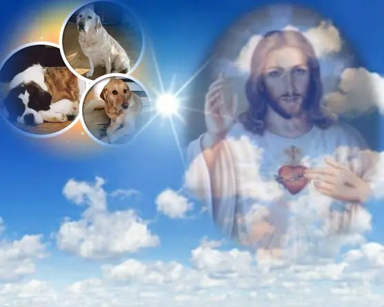 Andachtsbild von ❤️❤️❤️