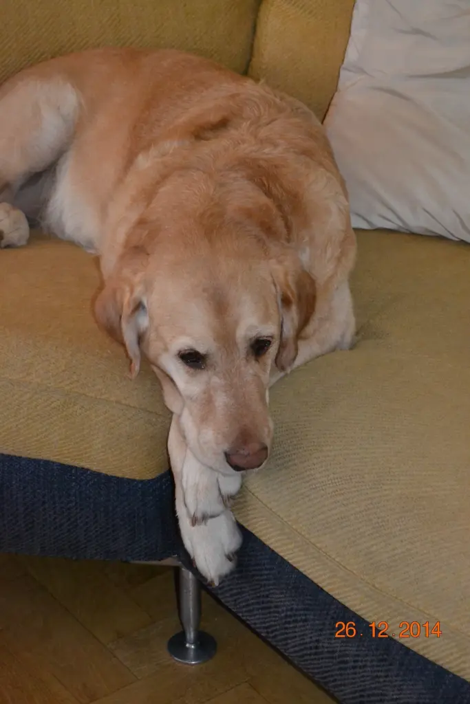 Andachtsbild von Brigitta 