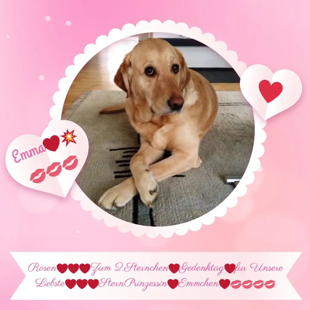 Andachtsbild von ❤️2.Sternchen❤️Gedenktag❤️