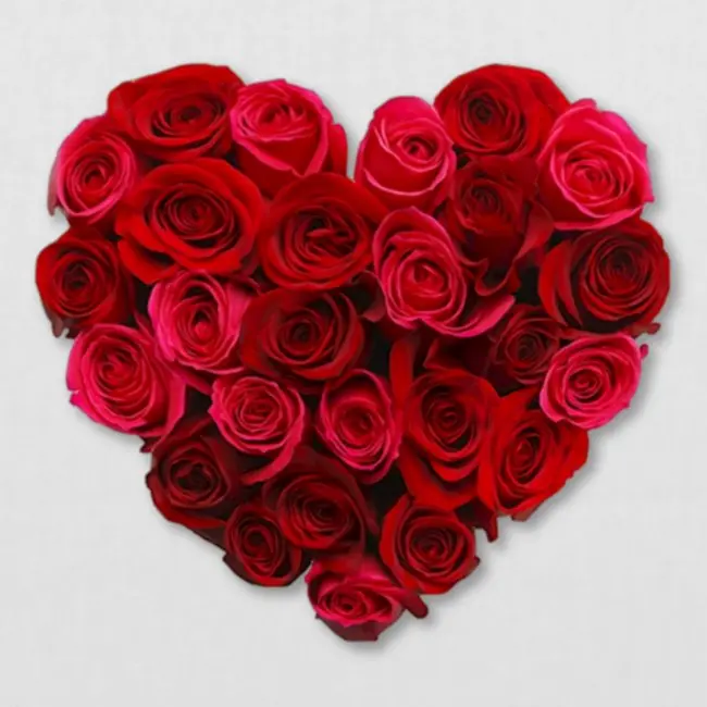 Andachtsbild von Brigitta 