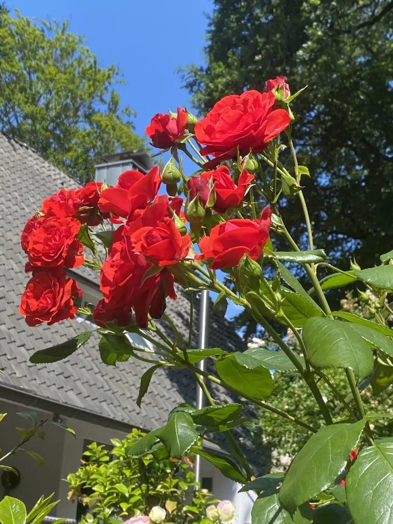 Andachtsbild von Brigitta 