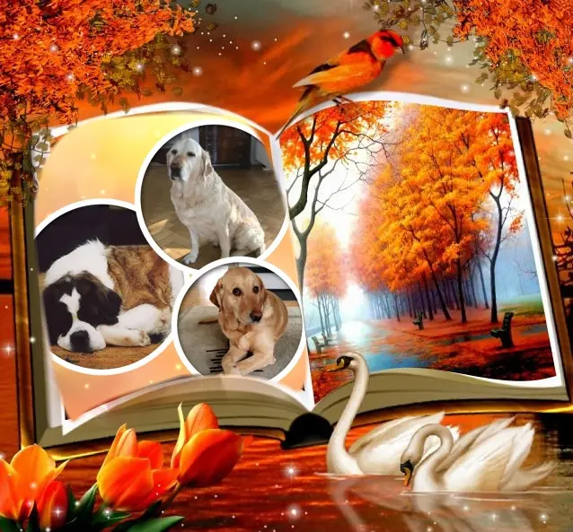 Andachtsbild von ❤️❤️❤️