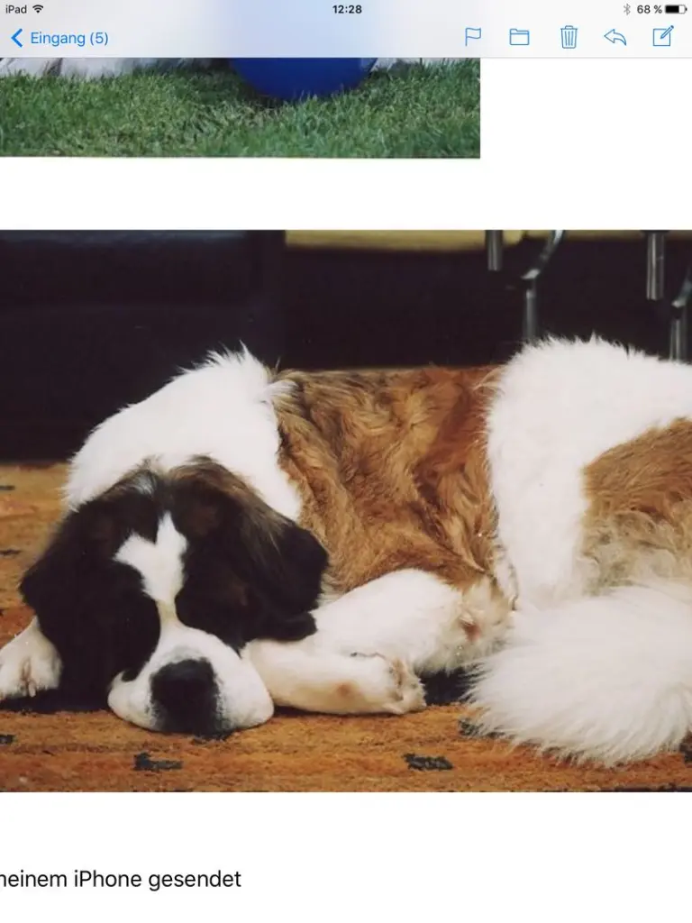 Andachtsbild von Brigitta 