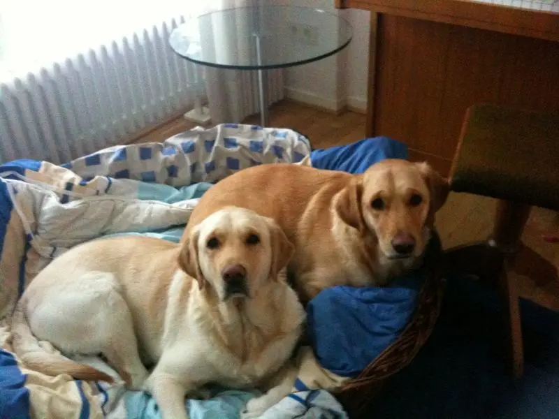 Andachtsbild von Brigitta 