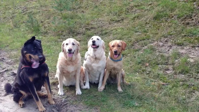 Andachtsbild von Brigitta 