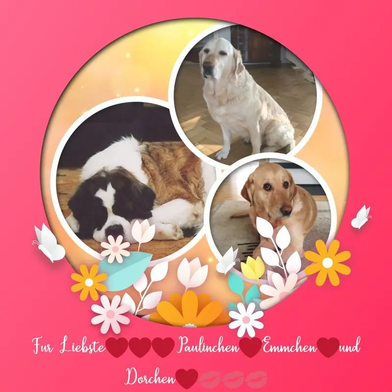 Andachtsbild von ❤️❤️❤️