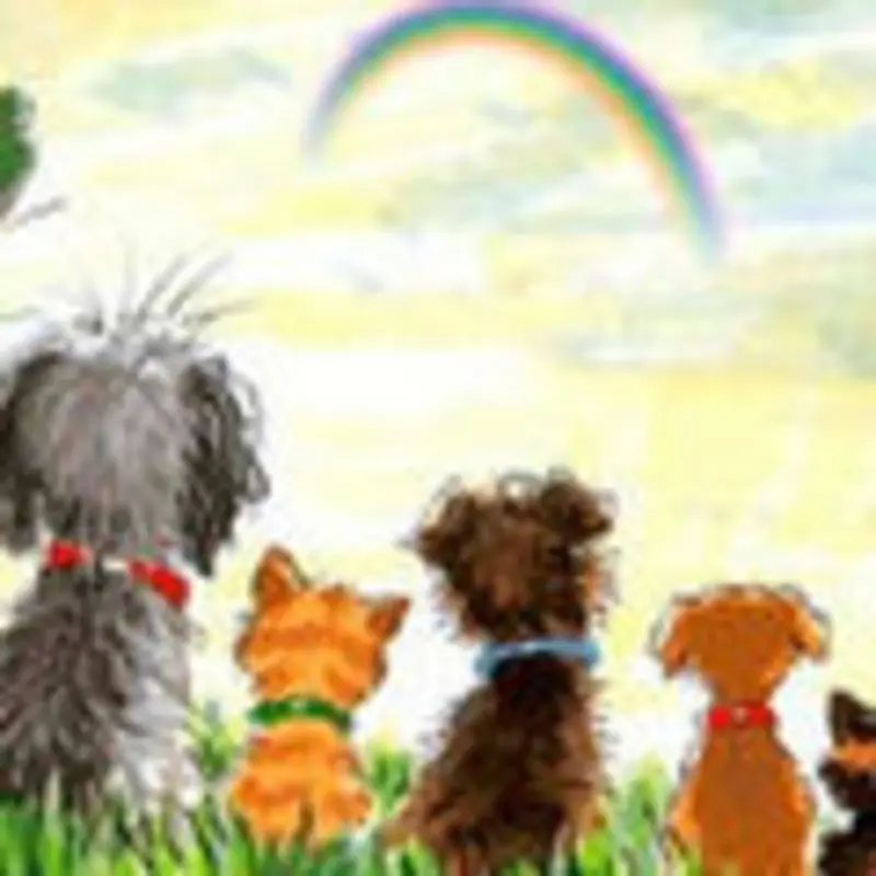 Andachtsbild von Evelyn