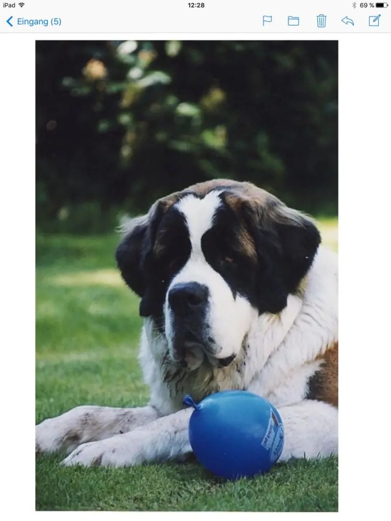 Andachtsbild von Brigitta 