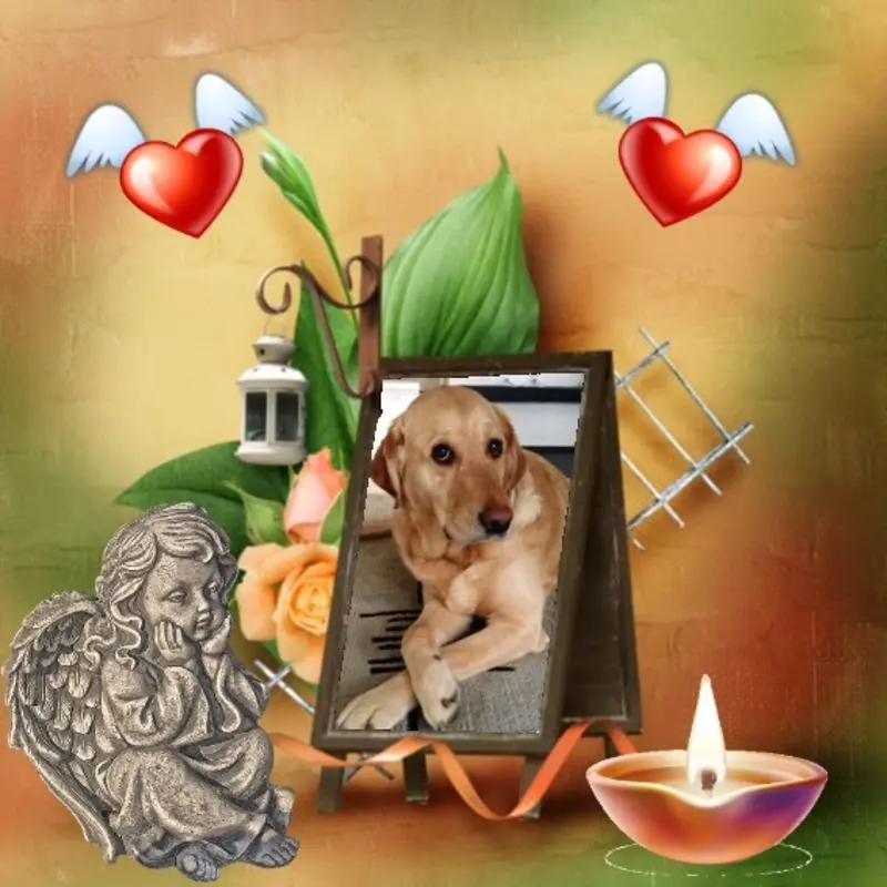 Andachtsbild von 3.Sternchen❤️❤️❤️Gedenktag❤️