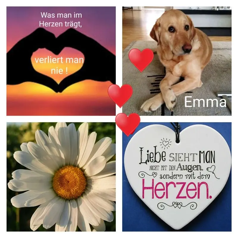 Andachtsbild von Unbekannt