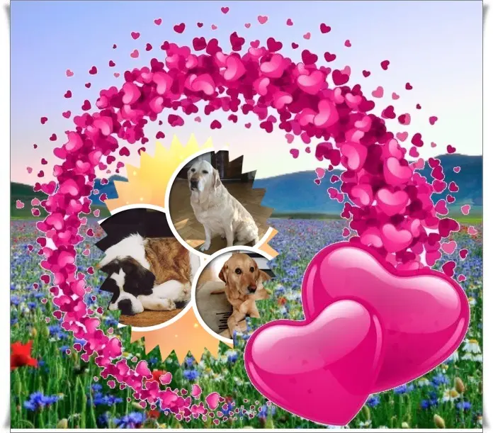 Andachtsbild von Sonntags❤️❤️❤️❤️Rosen❤️❤️❤️❤️❤️❤️fur meine Liebste❤️❤️❤️❤️❤️❤️Nelchen❤️Larchen❤️und Fleckchen❤️