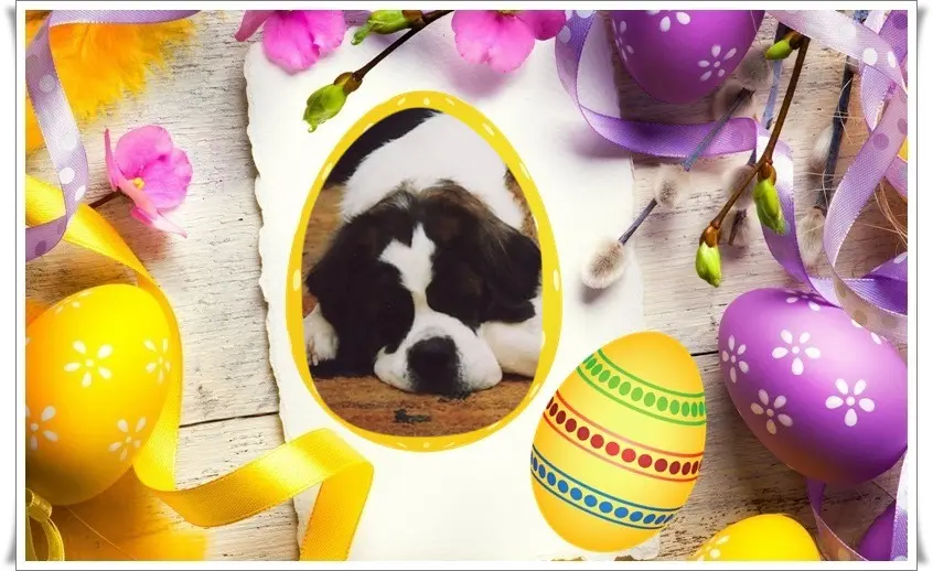 Andachtsbild von Rosen❤️❤️❤️❤️❤️❤️fur Dorchen❤️