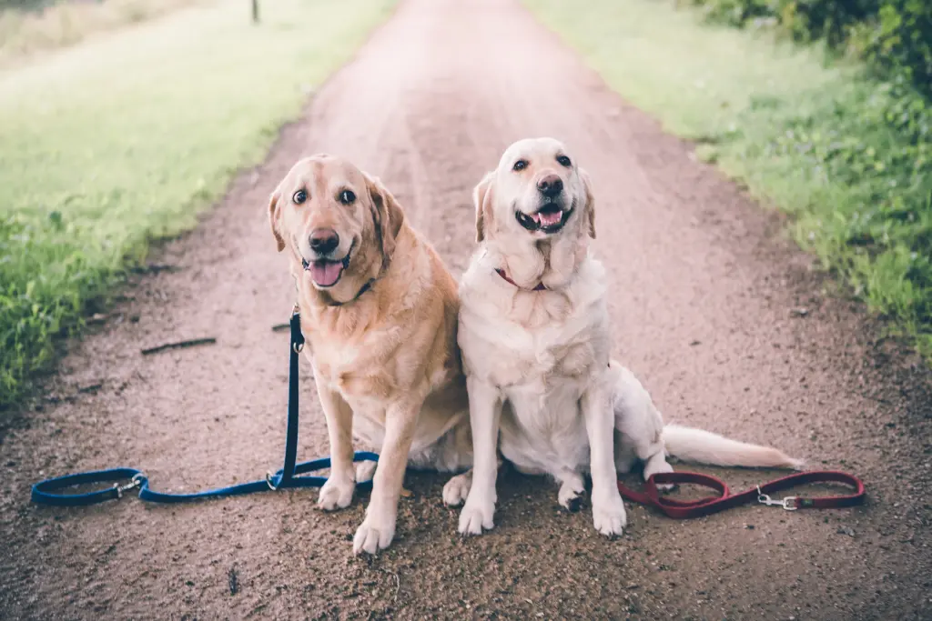 Andachtsbild von Brigitta 