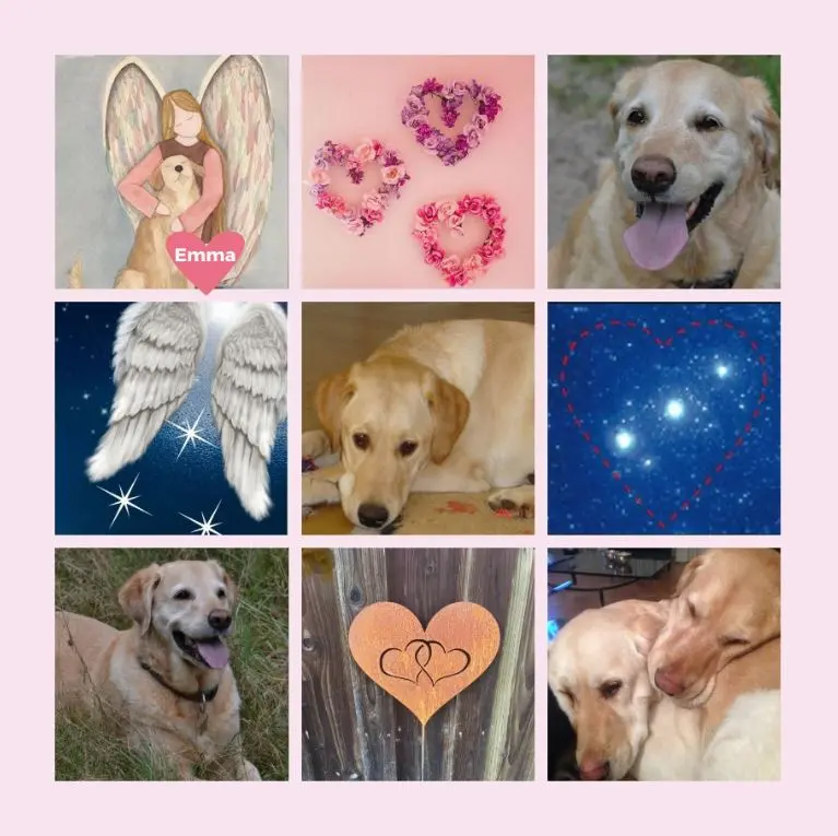 Andachtsbild von Rosen zum 4. Sternchentag für Emma 