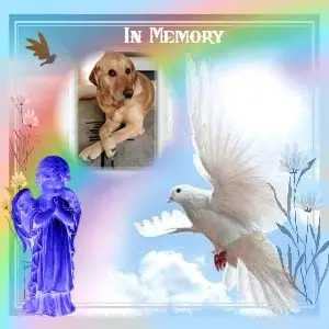 Andachtsbild von 4.Sternchen❤️Gedenktag❤️❤️❤️❤️