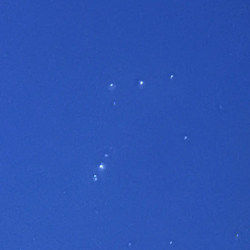 Andachtsbild von Brigitta 