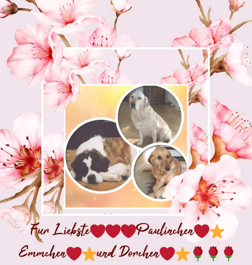 Andachtsbild von Montags❤️Rosenchen❤️❤️❤️❤️❤️❤️❤️fur Emmchen❤️⭐️und Dorchen❤️⭐️