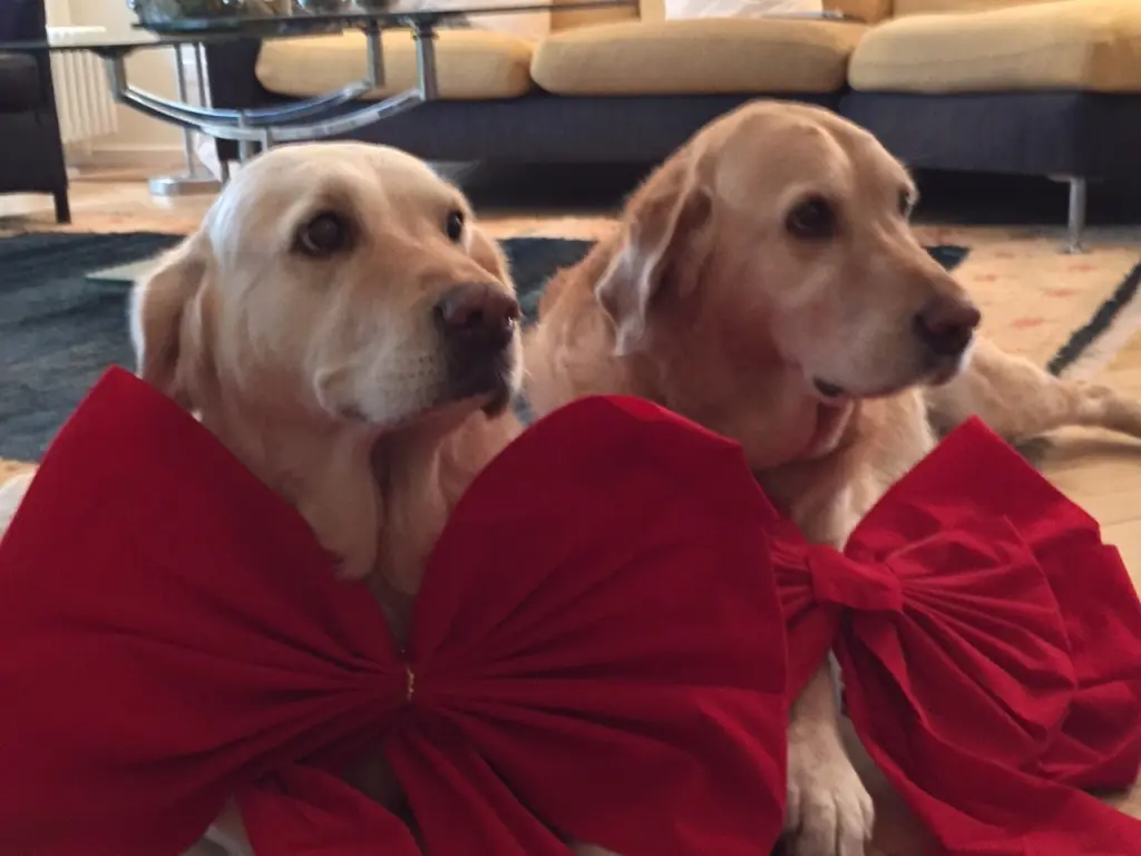 Andachtsbild von Brigitta 