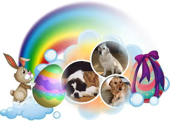 Andachtsbild von Frohe❤️❤️❤️Ostern❤️