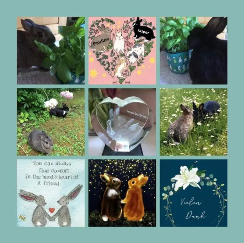 Andachtsbild von Dankesrosen 