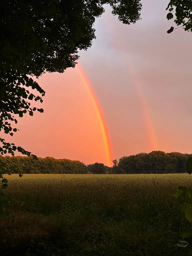 Andachtsbild von Brigitta 