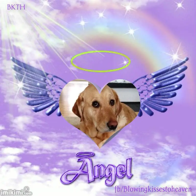 Andachtsbild von 5.Sternchen❤Gedenktag❤❤❤❤❤