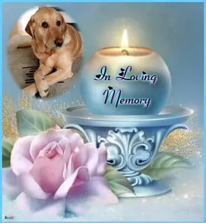 Andachtsbild von 5.Sternchen❤Gedenktag❤❤❤❤❤