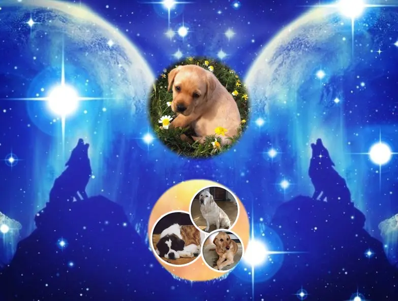 Andachtsbild von ❤️❤️❤️❤️❤️❤️❤️❤️❤️